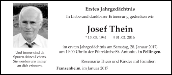 Traueranzeige von Josef Thein von trierischer_volksfreund