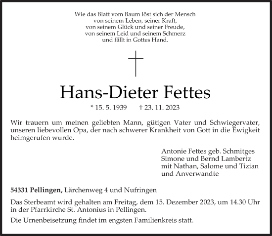 Traueranzeige von Hans-Dieter Fettes von trierischer_volksfreund