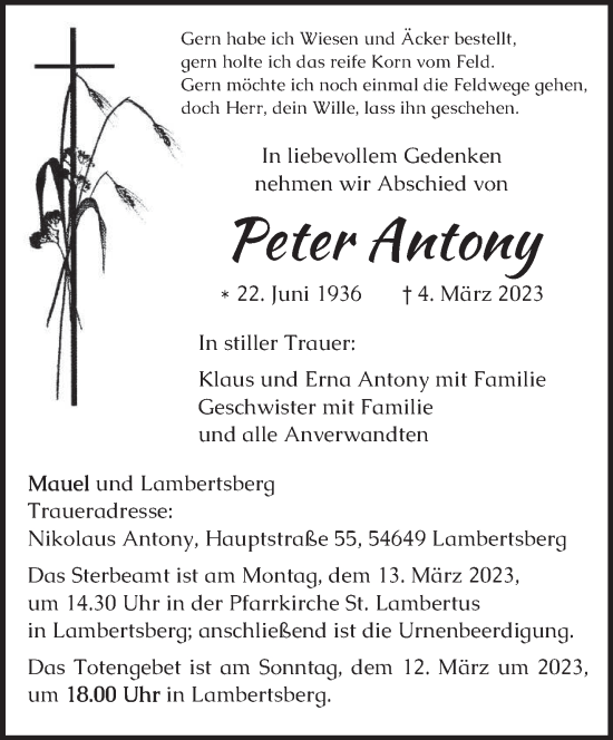 Traueranzeige von Peter Antony von trierischer_volksfreund