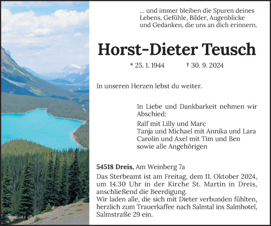 Traueranzeige von Horst-Dieter Teusch von trierischer_volksfreund