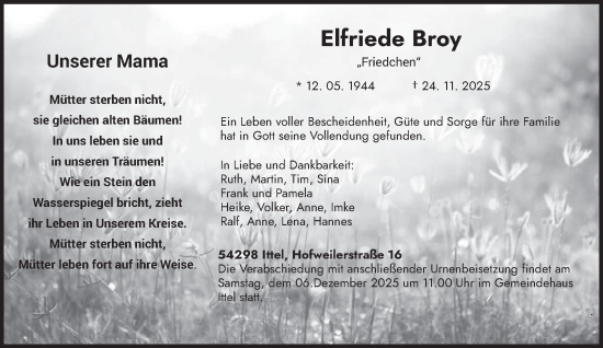 Traueranzeige von Elfriede Broy von trierischer_volksfreund