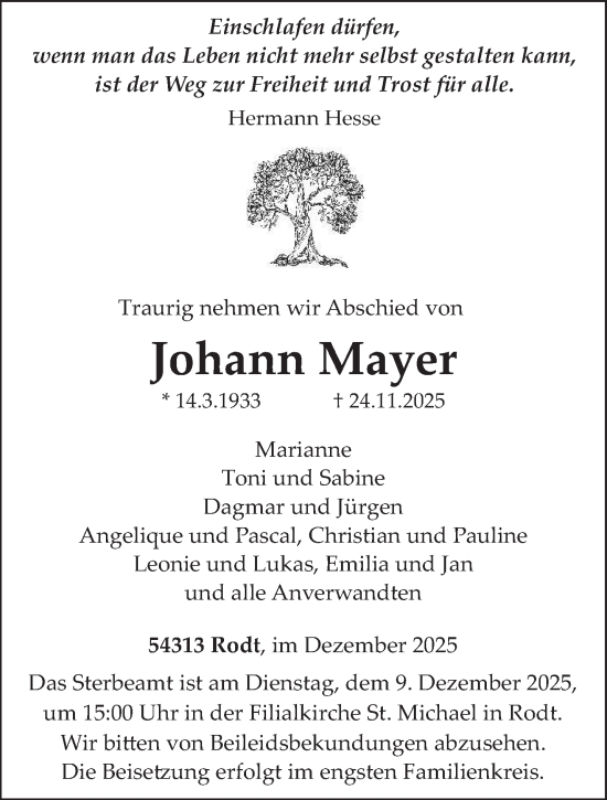 Traueranzeige von Johann Mayer von trierischer_volksfreund